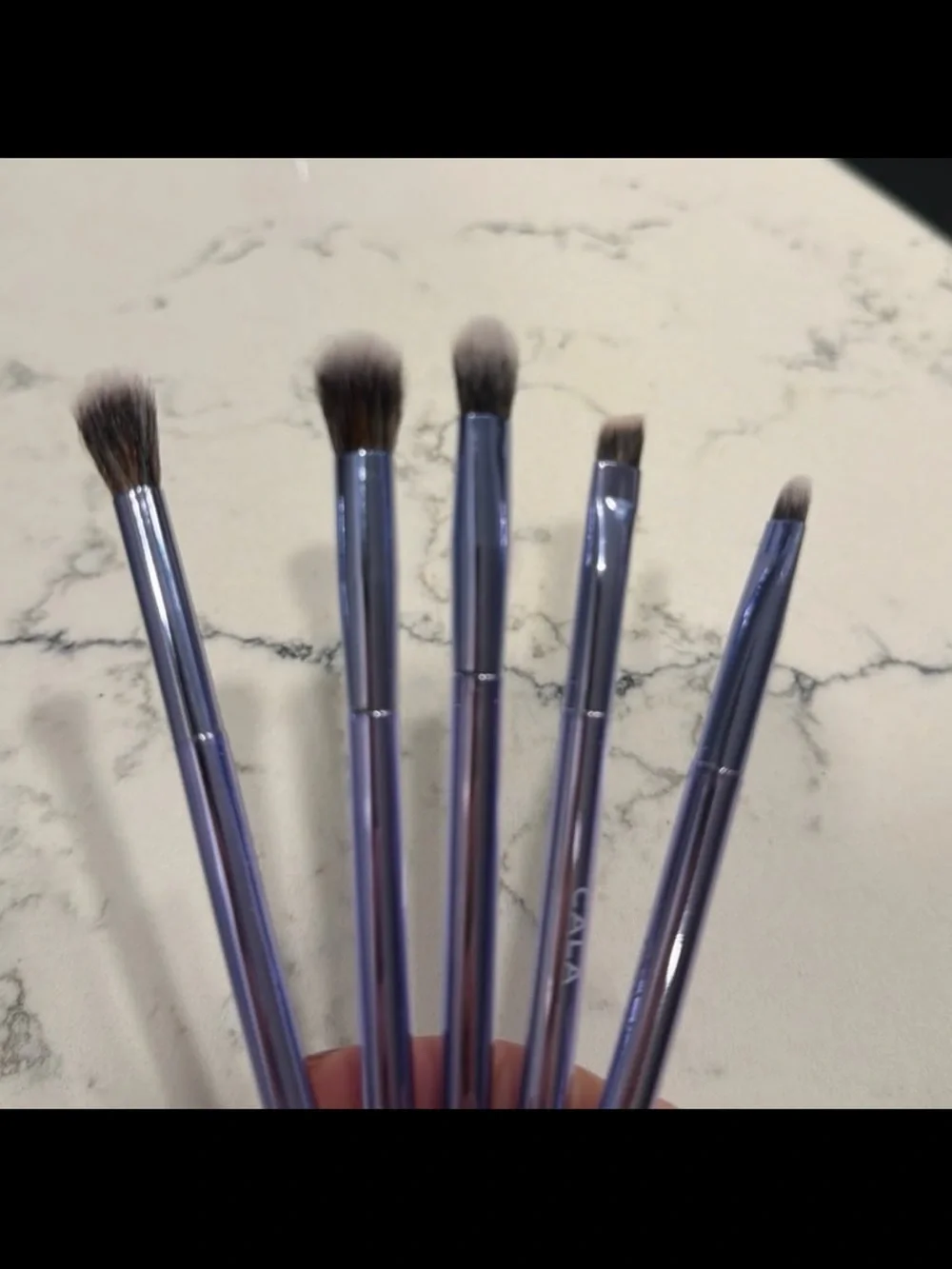 NWOT CALA Eye make up brushes